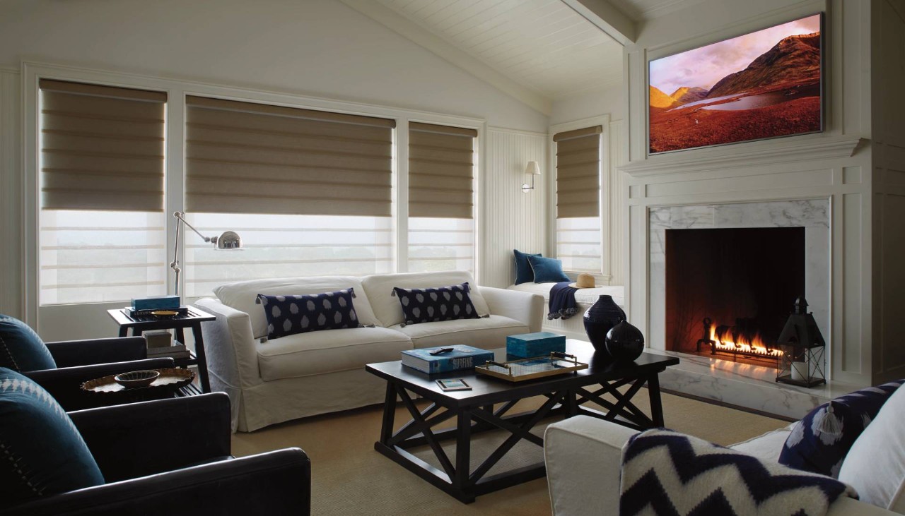 Hunter Douglas Modern Vignette® Roman Shades near Anaheim, CA