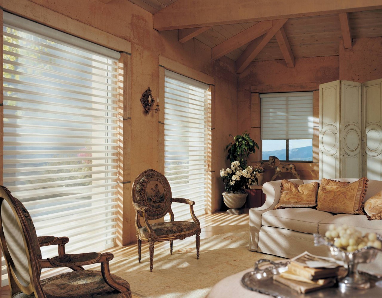 Hunter Douglas Pirouette® Sheer Shades near Anaheim, California (CA)